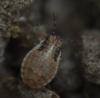 275751 – Photo : Florian ALONSO – France (69)